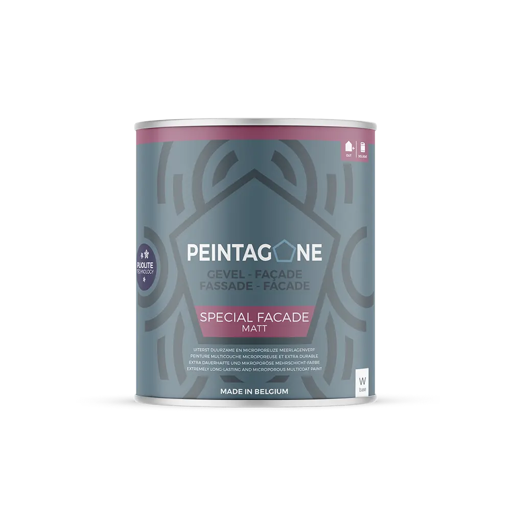 [SPFA1BW] Special Facade (1 l, W, Nicht gefärbt)